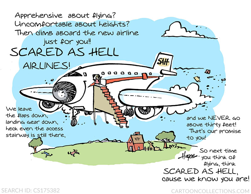 fear of flying cartoons