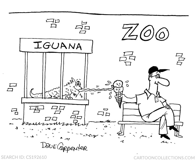 iguana cartoons