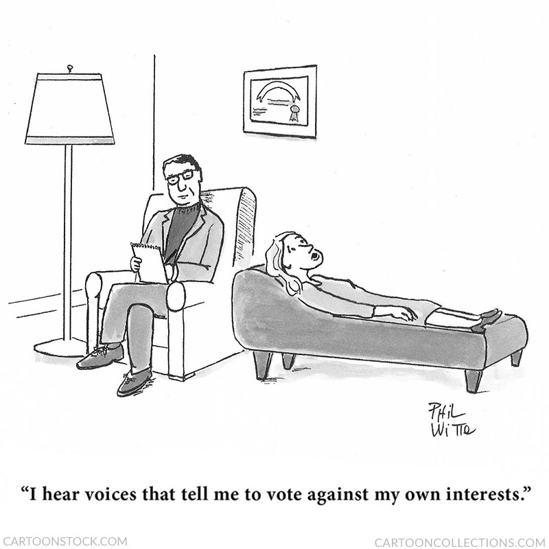 Election cartoons