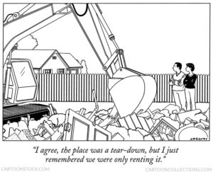 remodeling cartoons