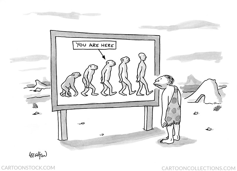 evolution cartoons