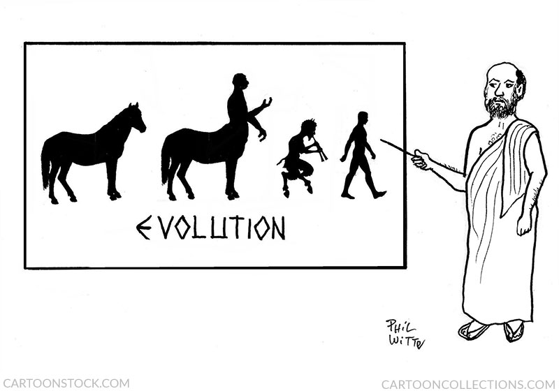 evolution cartoons