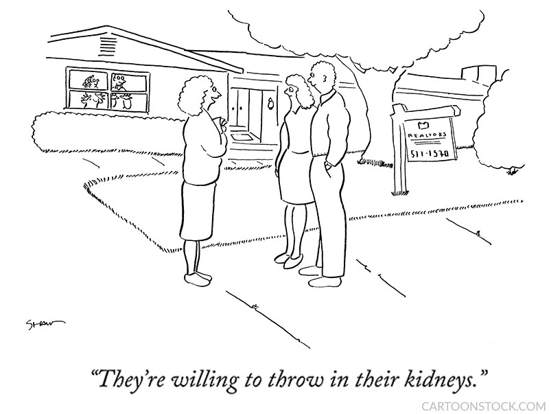 real estate cartoons