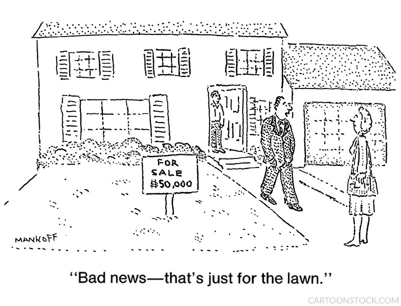 real estate cartoons