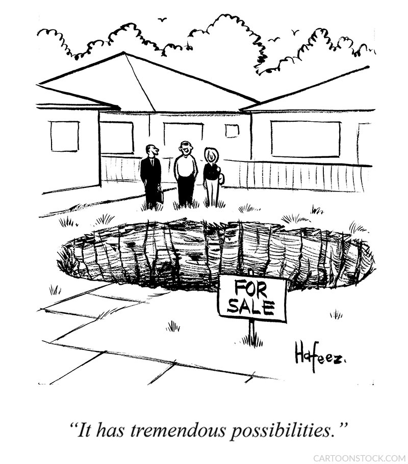 real estate cartoons