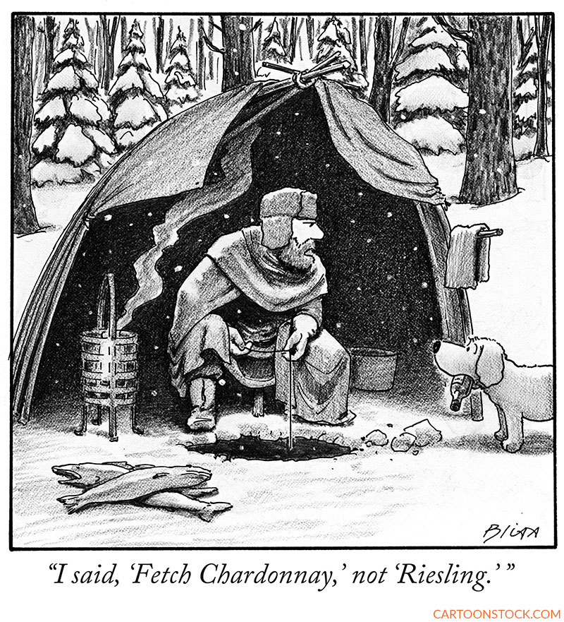 camping cartoons