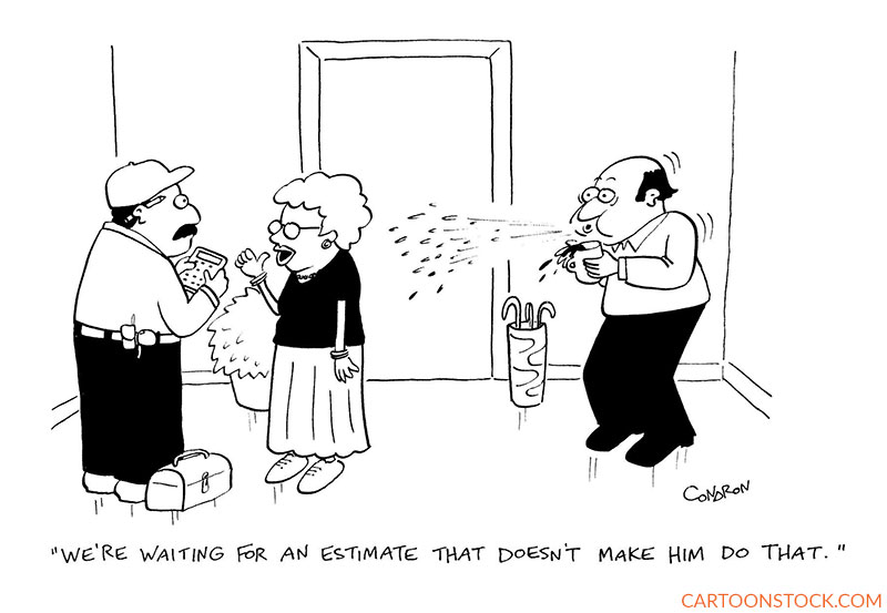 home renovation cartoonss