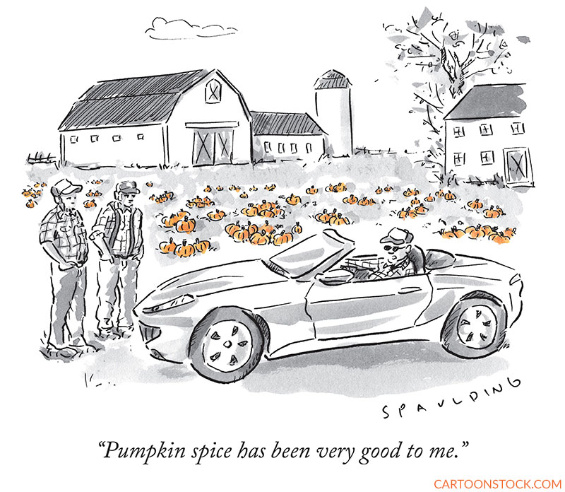 pumpkin spice cartoons