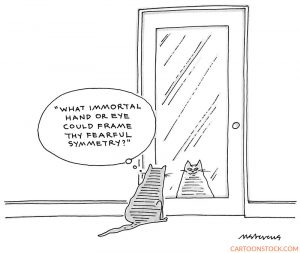 cat cartoons