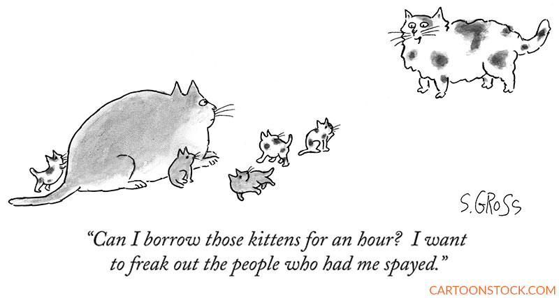 cat cartoons