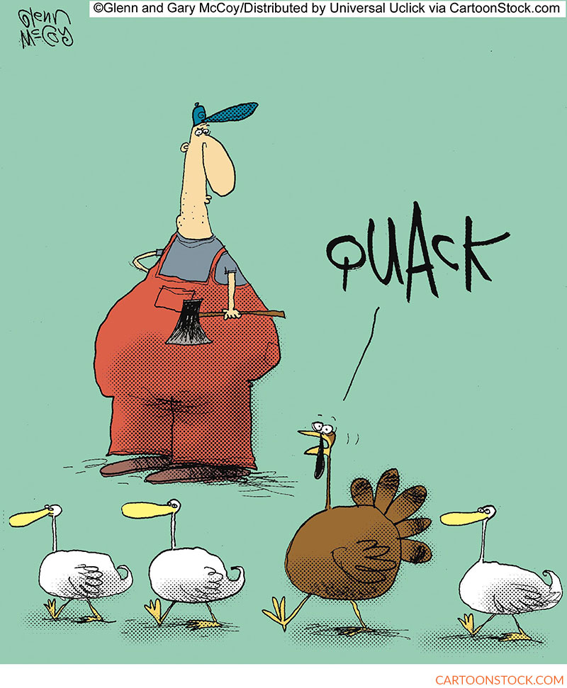 Thanksgiving cartoons