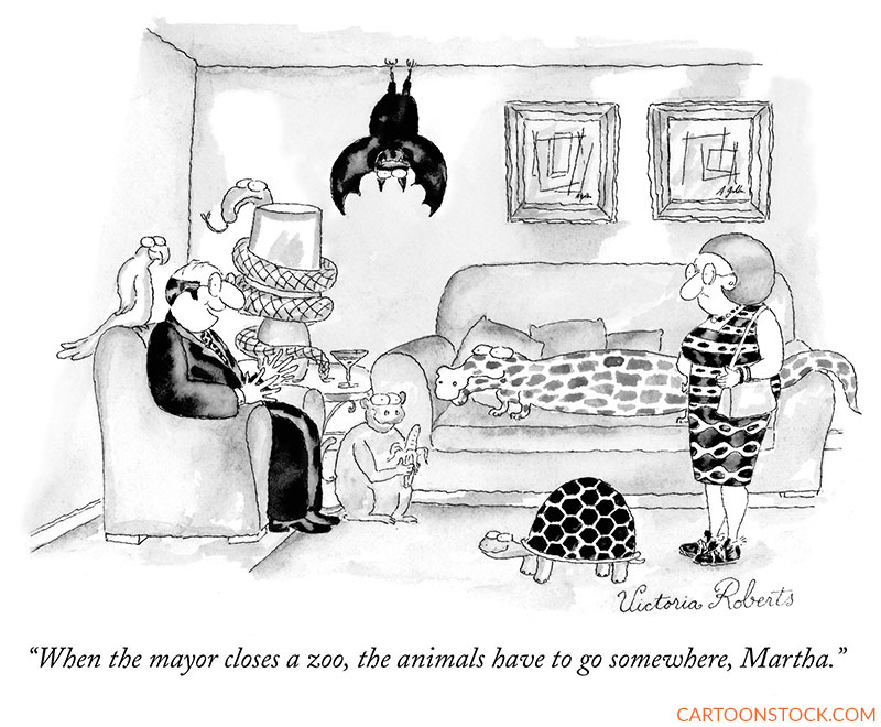 animal cartoons