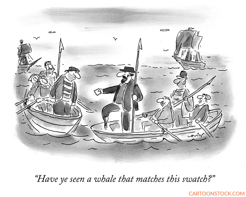 Moby Dick cartoons