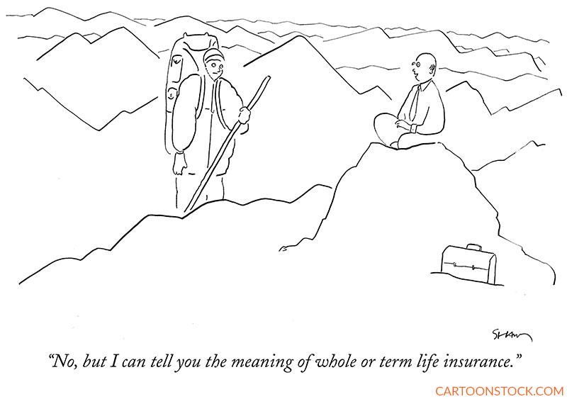 insurance cartoons