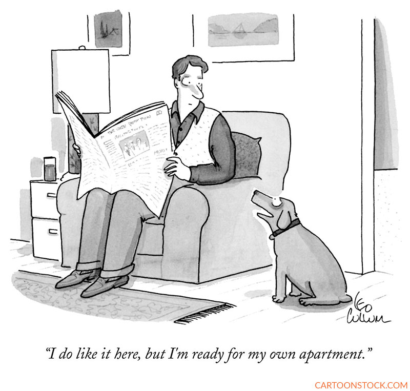 apartment cartoons