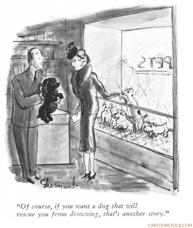 Barbara Shermund Cartoons