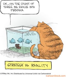 CartoonStock Artist Spotlights showing a Wiley Miller cartoon showing a cat staring into a fish tank, as one fish says, “OK... on the count of three, we evolve into piranha.” Below the scene is the caption, “Strategy vs. Reality.”