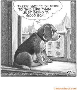 CartoonStock Artist Spotlights showing a Harry Bliss cartoon showing a dog sitting by a window, thinking, “There has to be more to this life than just being ‘a good boy.’”